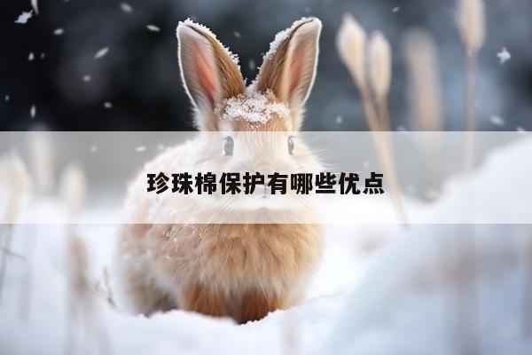 珍珠棉保护有哪些优点