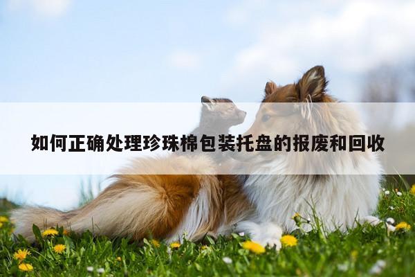 如何正确处理珍珠棉包装托盘的报废和回收