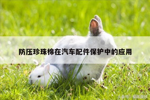 防压珍珠棉在汽车配件保护中的应用