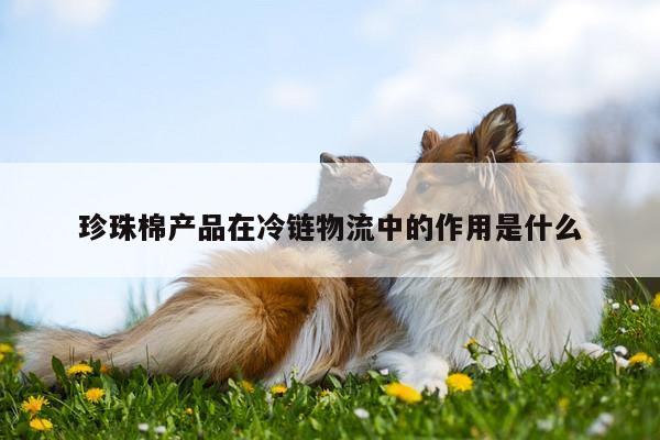 珍珠棉产品在冷链物流中的作用是什么