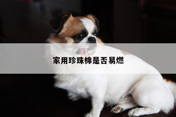 家用珍珠棉是否易燃