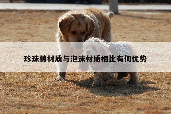 珍珠棉材质与泡沫材质相比有何优势